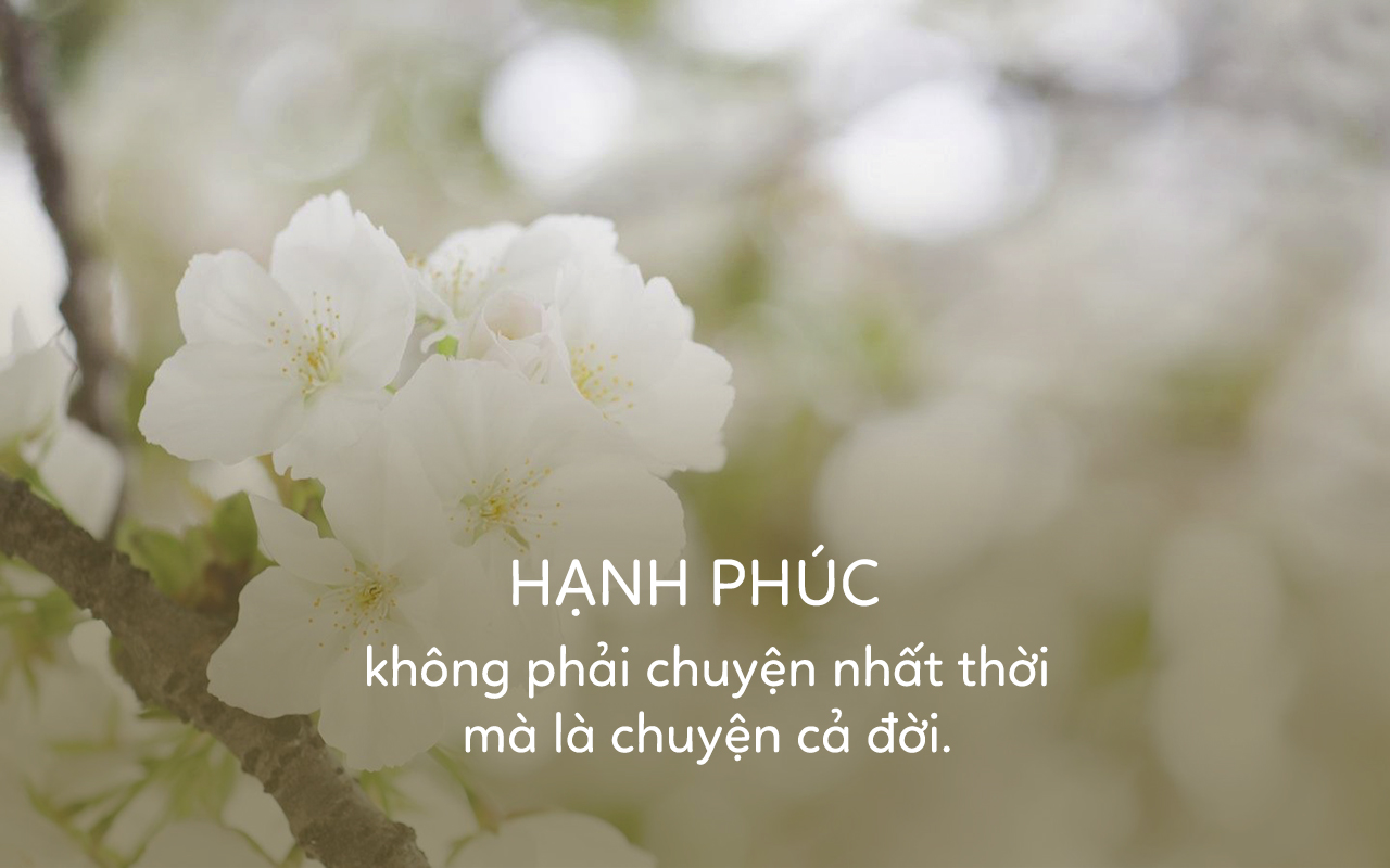 60-stt-hanh-phuc