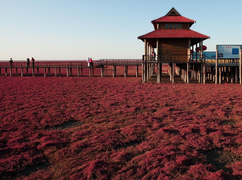 panjin-red-beach-10