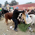 आशापुरा माता मंदिर के पाटोत्सव पर हुए सेवा-अनुष्ठान 