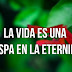 La vida es una chispa en la eternidad