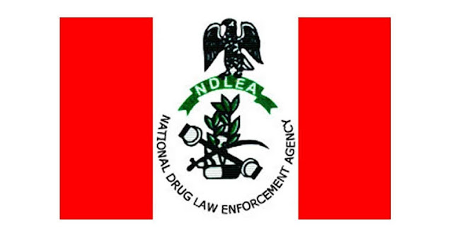 NDLEA Seizes 390kg of Illicit Drugs in Multi-State Raids