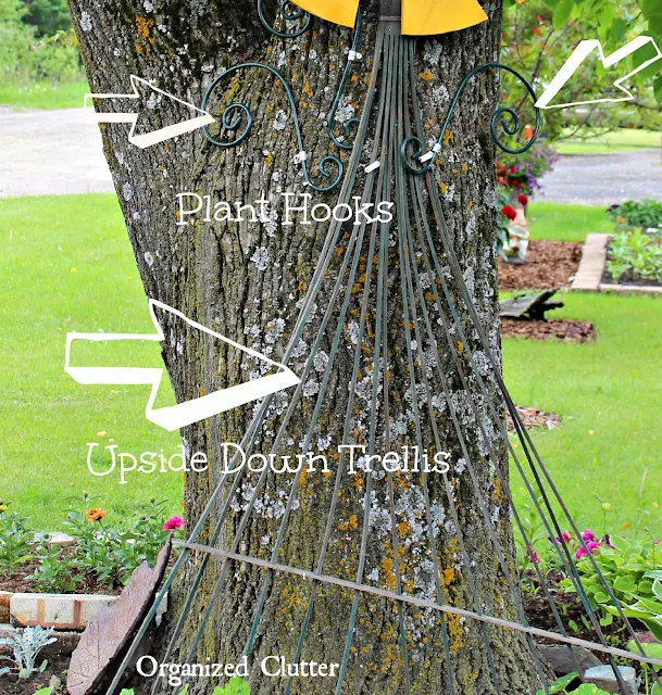 Junk Garden Wire Spool & Trellis Sunflower www.organizedclutter.net