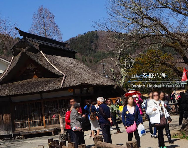 富士山と清流が美しい！忍野八海