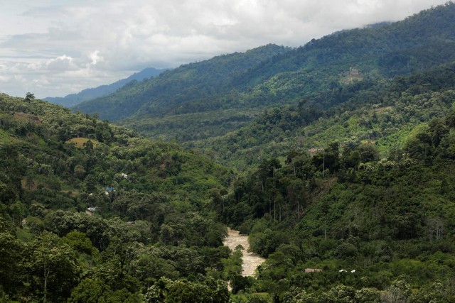 Gunung Leuser National Park