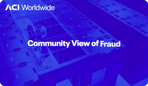 ACI Worldwide – Community View of Fraud