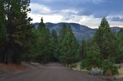 Up Cottonwood Creek road and back down to 218