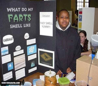 school projects report