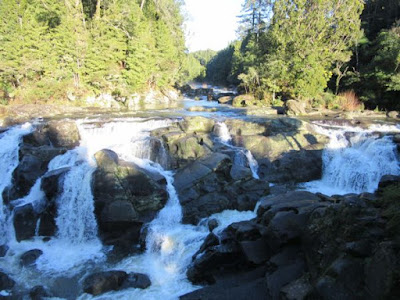 McLaren Falls Park, Nueva Zelanda