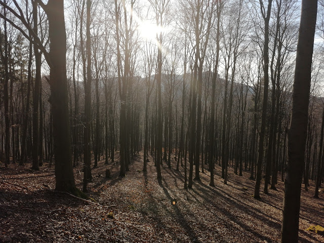 Sauerland wandern Wetter blog Bestwig Panoramaweg Olsberg Schluchtengebirge