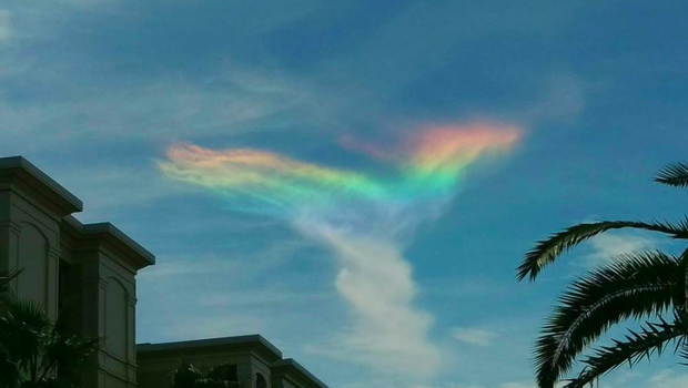 Langka "pelangi api" menyala di langit Carolina Selatan