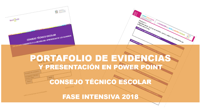 Portafolio de Evidencias de la Fase Intensiva del CTE 2018