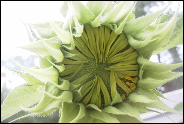 R0014328