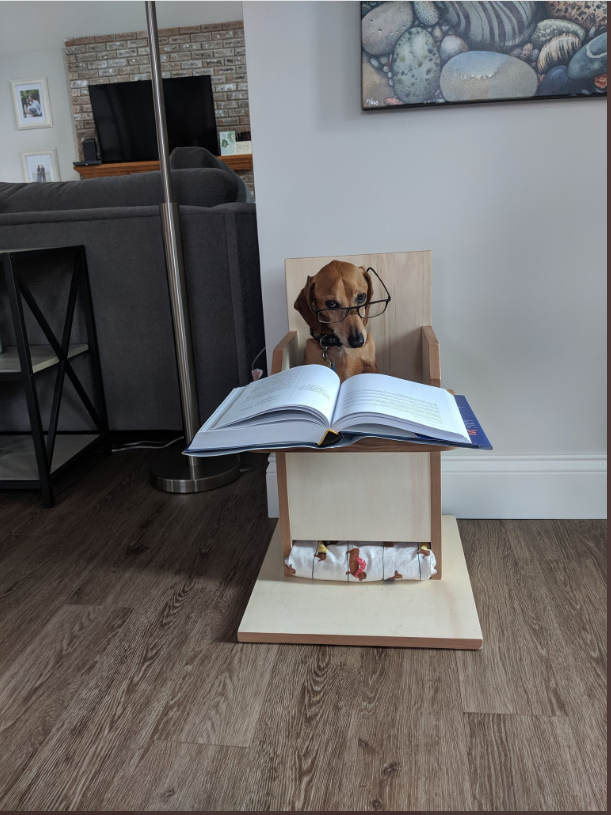 A dog at his office