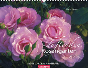 Weingarten-Kalender Im duftenden Rosengarten 2009