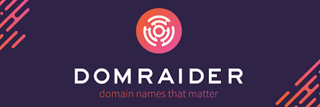 DomRaider, Platform Lelang Nama Domain Terdesentralisasi