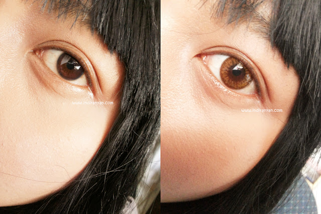 Bunny Color Brown, Bunny Color Brown Lenses, Bunny Lens