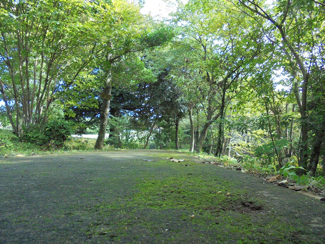 弥生の森遊歩道