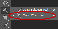 The Magic Wand Tool.