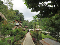 bukit lawang sumatra