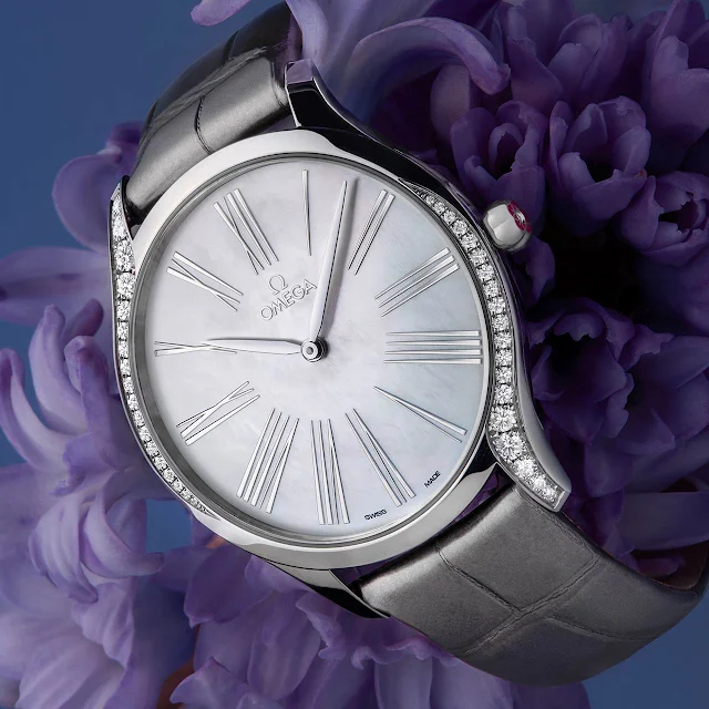 Omega Trésor collection, new 2020 models