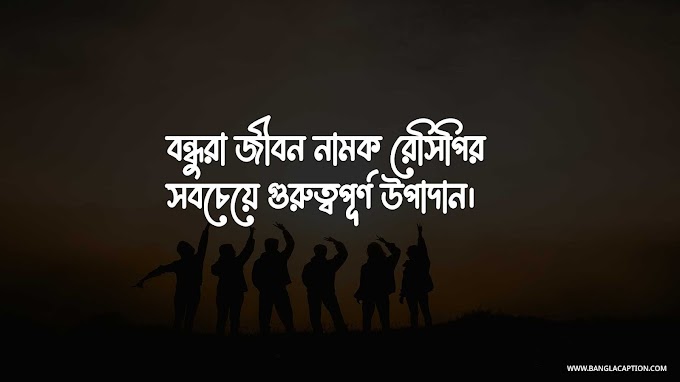 বন্ধুত্ব নিয়ে ফেসবুক ক্যাপশন/Best Friend Status In Bengali