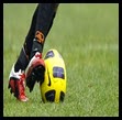 Fútbol