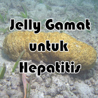 Jelly Gamat untuk mengobati Hepatitis