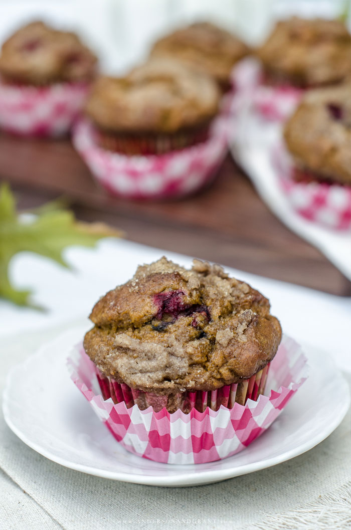 Pumpkin Spice Cranberry Muffins with Streusel Topping