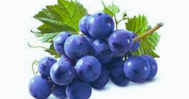 Blue Fruits