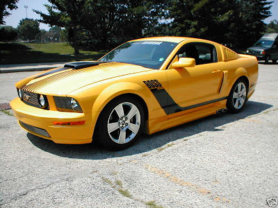 2009 Ford Shelby GT500 Sport Car