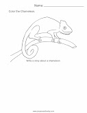 Facts about Chameleons worksheet