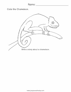 Chameleon worksheet