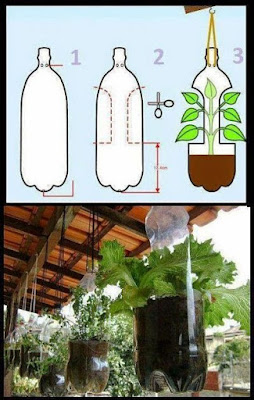 Pot Tanaman Indah Dari Botol Bekas Kerajinan Tangan Unik dan Mudah