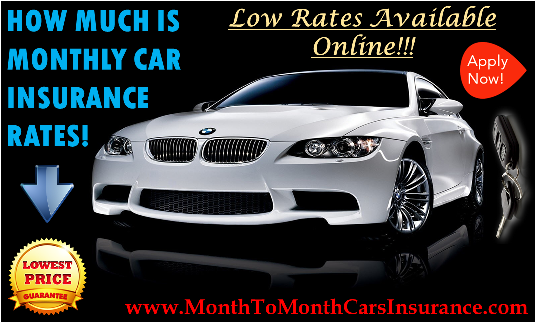  How Much Is Monthly Car Insurance For Youngsters