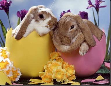 Easter Bunnies