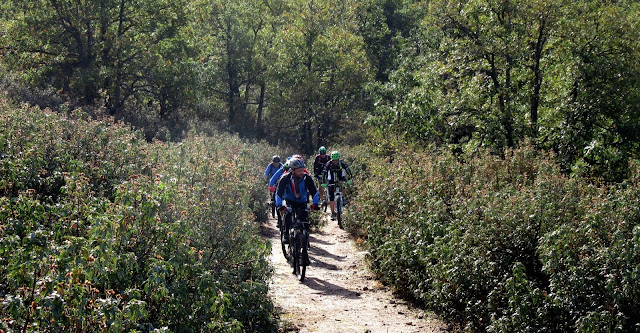 AlfonsoyAmigos - Rutas MTB 