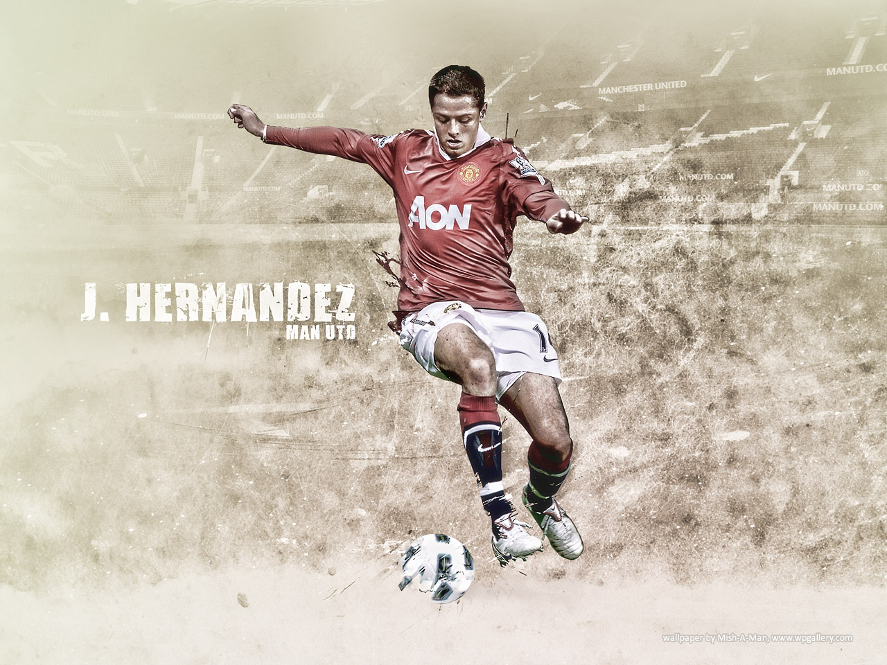 GARUDA'S KNIGHT: Javier Hernandez Wallpaper