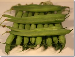 Horizontal and vertical beans assignment 2 TAOP Horizontal and vertical beans assignment 2 TAOP