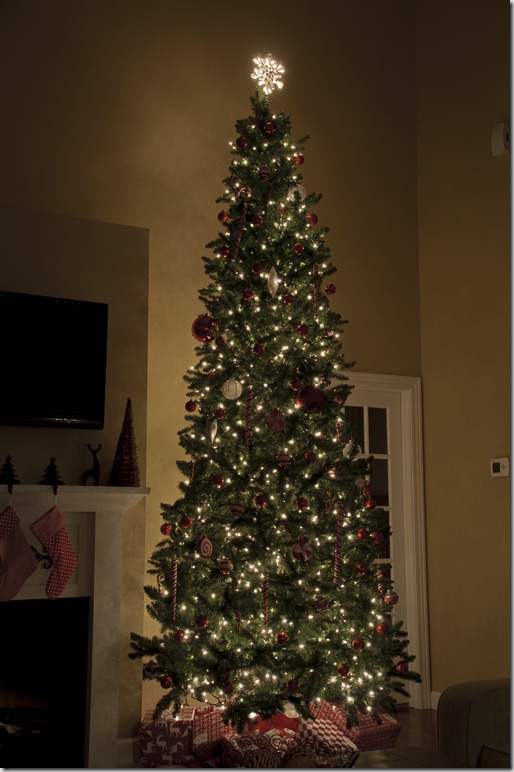 Night Xmas 027