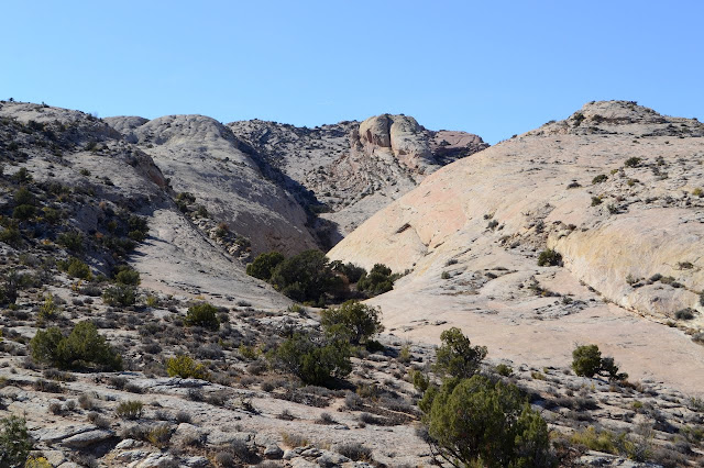 scattered juniper in the curving rocks