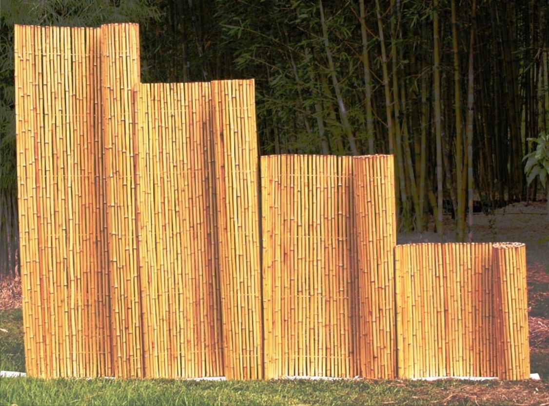  18 desain pagar bambu  cantik nan unik minimalis 
