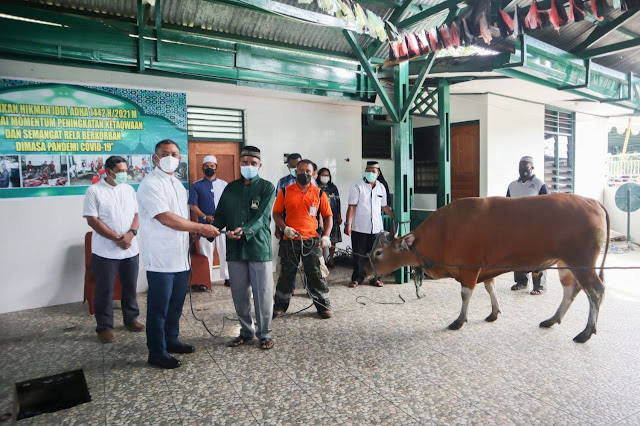 Izak Pangemanan Serahkan Hewan Qurban ke Masjid Ridho Allah Weena