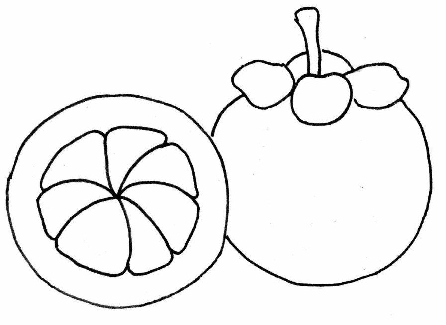   20 Sketsa Gambar Buah buahan  Yang Mudah Diwarnai Untuk 