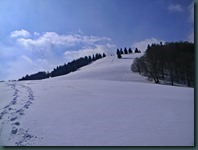 DSCN4664