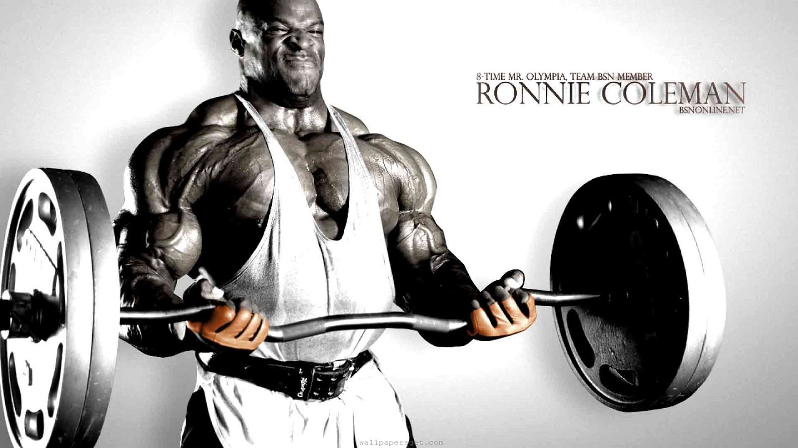Bodybuilding Exercise Pics