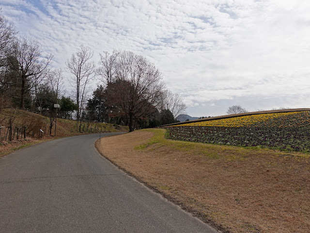 とっとり花回廊　花の丘