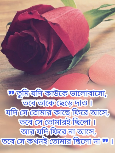 Love quotes in bengali