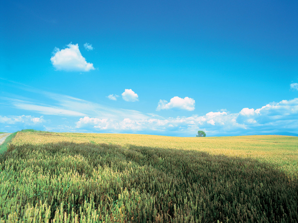 Desktop Wallpaper Of Korea Landscape 6