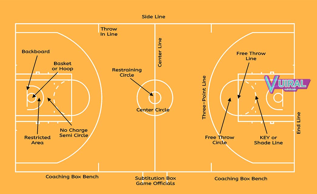 Gambar Dan Ukuran  Lapangan  Bola Basket  Beserta Keterangannya Vuiral