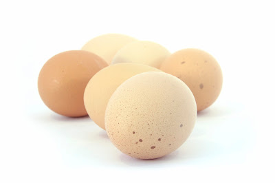 Manfaat Telur Bagi Kesehatan
